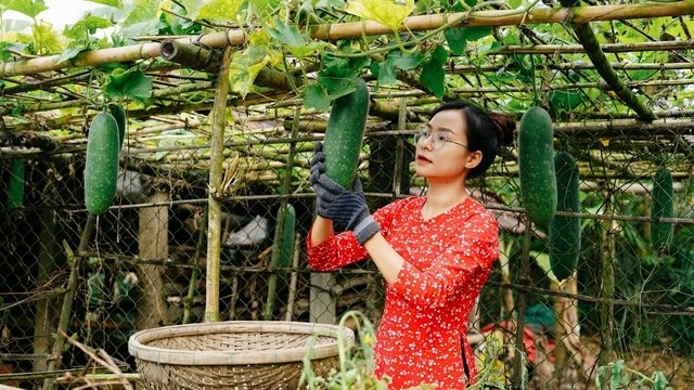 The girl born in 1999 returned to her hometown to work in the fields, even though she finished school and immediately got a job with a good salary 1